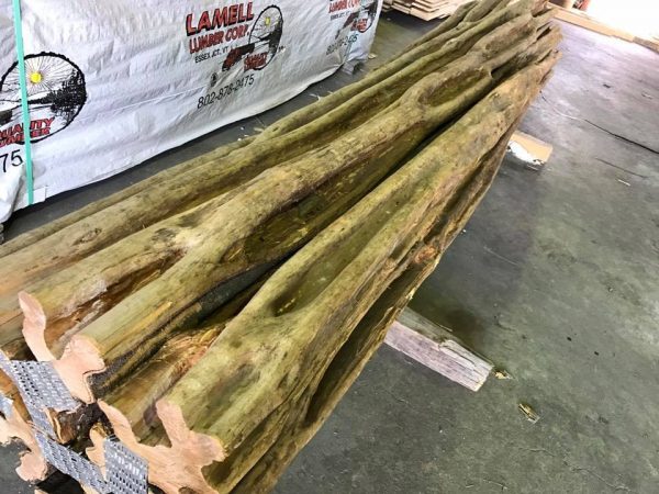 exotic wood exotic wood