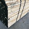 maple lumber wood rough 