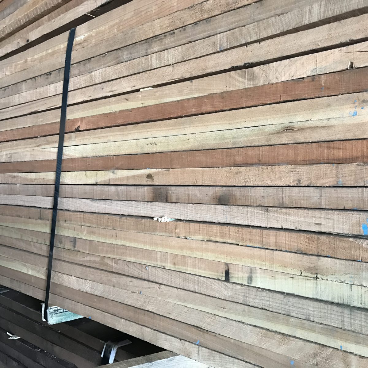 Planche En If (Yew) - Bords Bruts (Waney Edge) - 23mm D'épaisseur - 52.5x19cm - Neuf